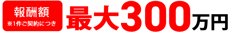 活動開始後も勉強会を開催し、サポートいたします（SP）